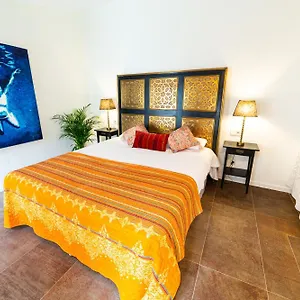 https://flor-de-mandarina.allmallorcahotels.com